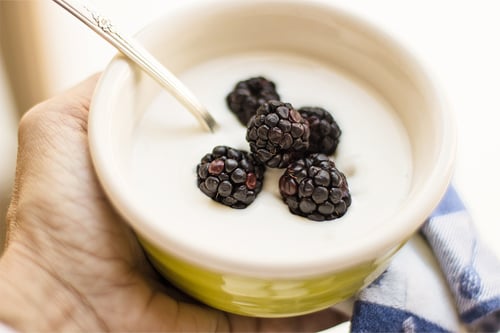 Jogurt3