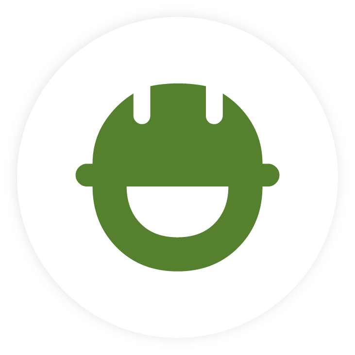 icon minimised risk