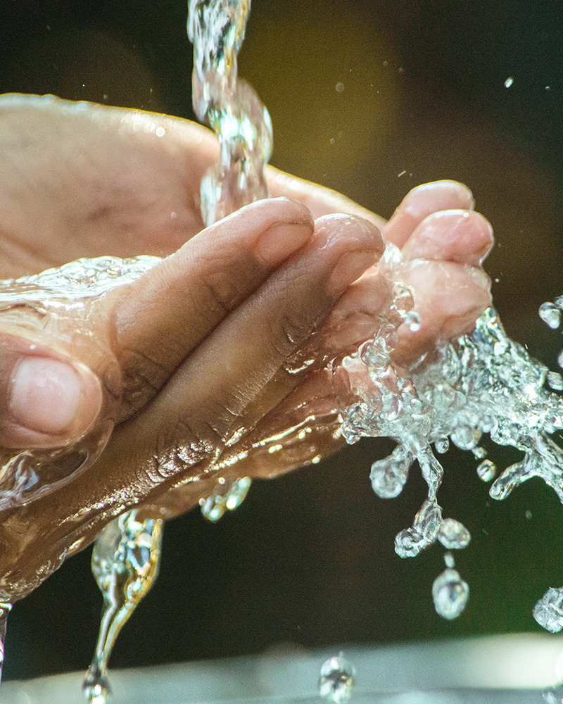Auszubildender Fachinformatiker Anwendungsentwicklung (AI)